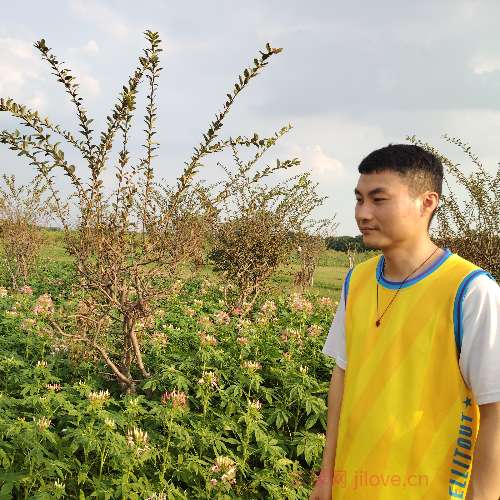 37岁岁广东单身帅哥 - 贵州吉缘网